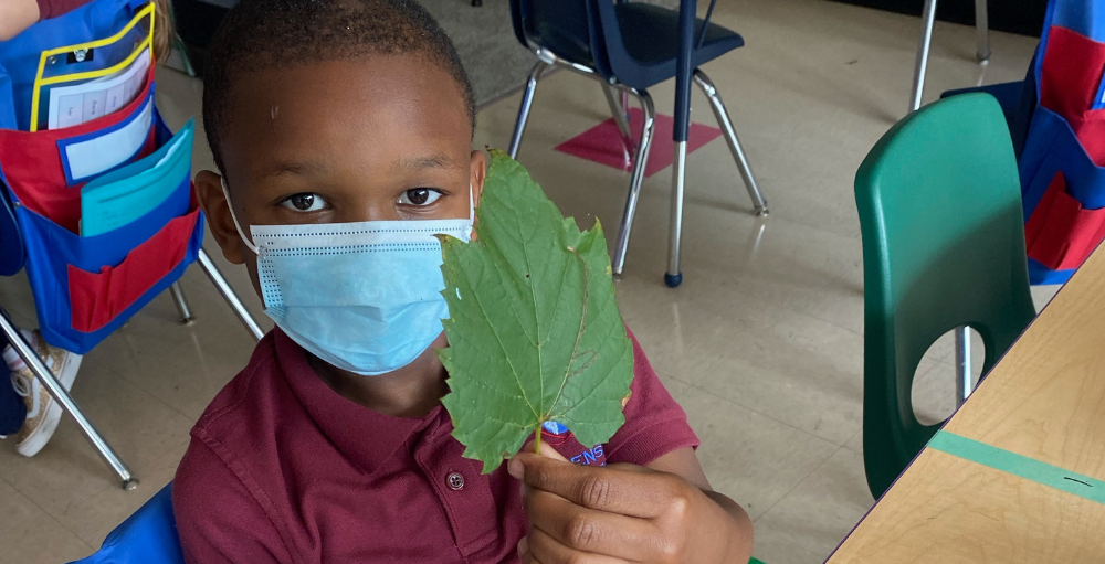 Syracuse Academy of Science and Citizenship elementary school students conducted a fall science experiment complete with leaves, creative leaf rubbing, and writing.
